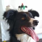 Profile picture of admin